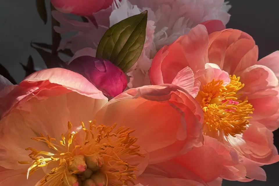 Avenue Fleurie — photo 2