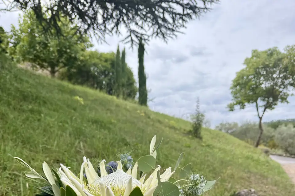 Avenue Fleurie — photo 3