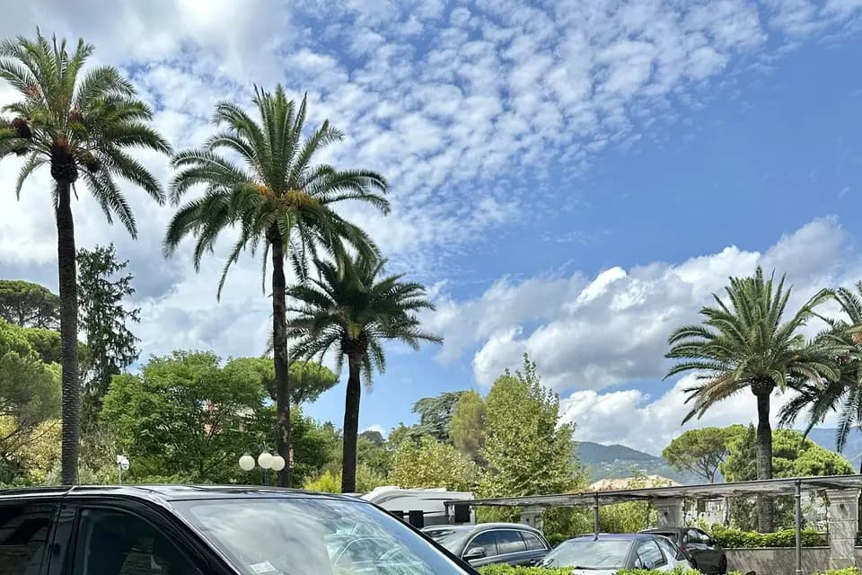 Negoce Cars — photo 1