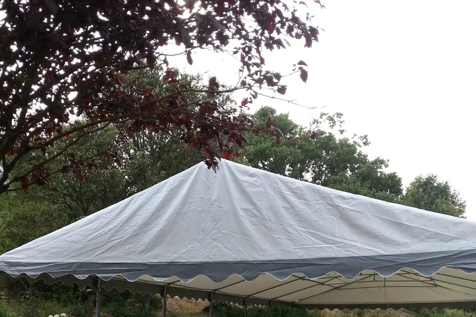 La Tente des Alpilles — photo 3