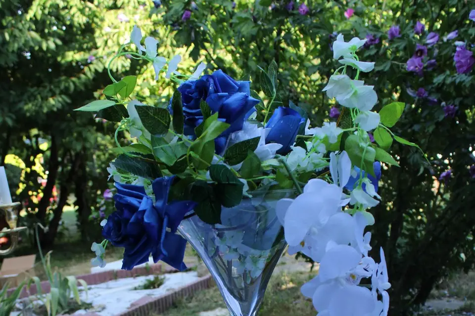 EVIC Evènementiel Icaunais — photo 2