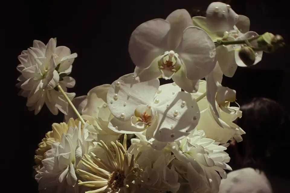 Gaïa Alchimie Florale — photo 7