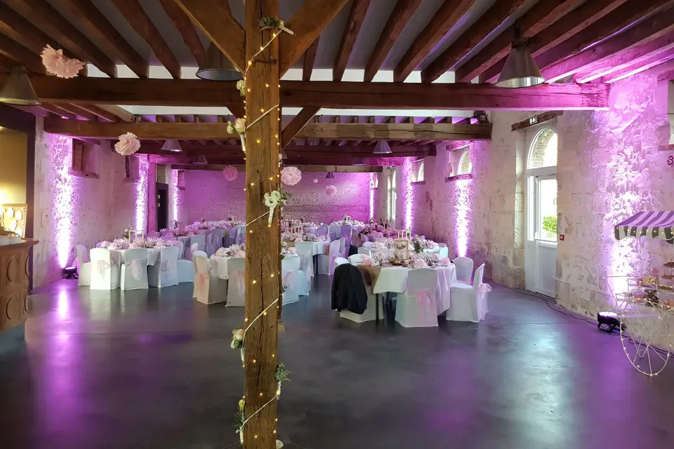 Stef Animation — photo 2