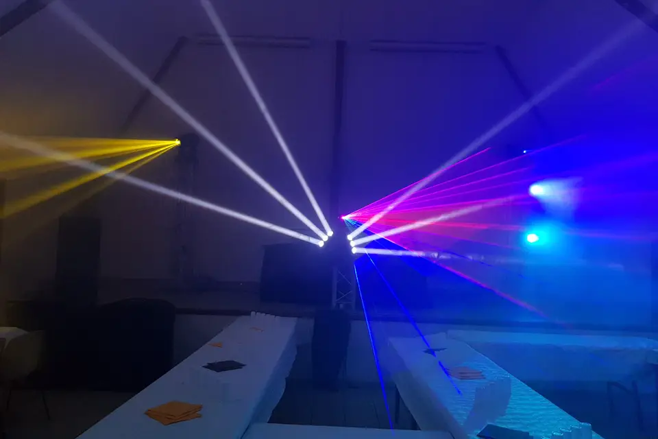 Stef Animation — photo 7