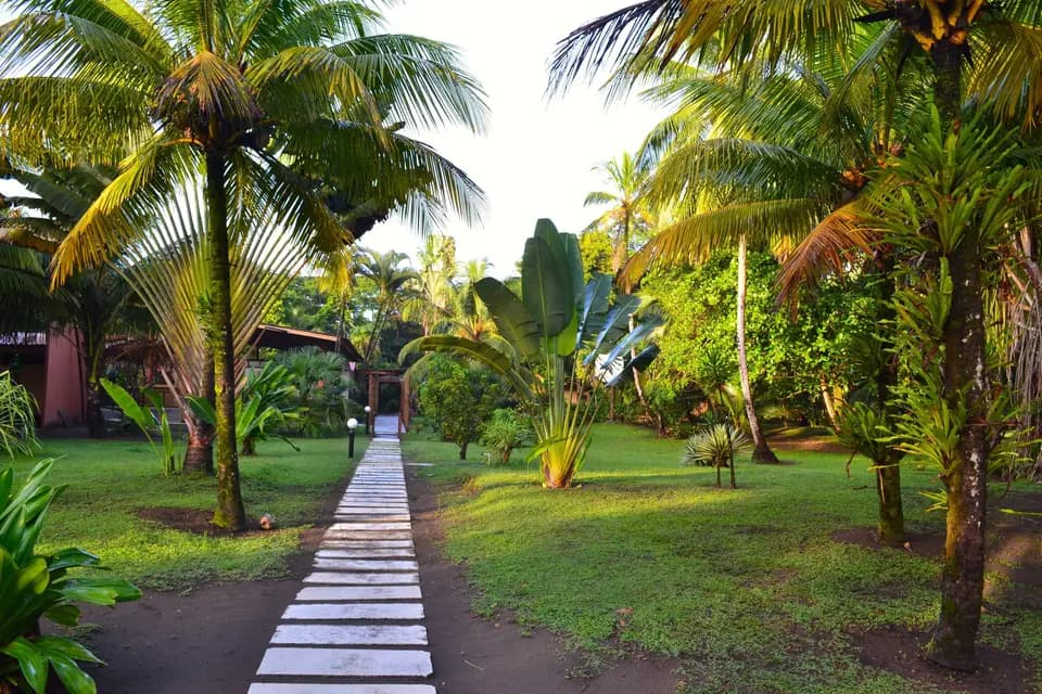 Terres 2 Découvertes — photo 6