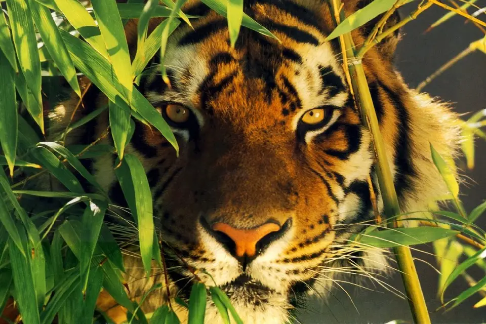 Terres 2 Découvertes — photo 2