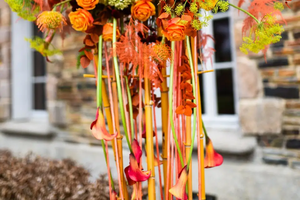 Les Fleurs Bavardes — photo 5