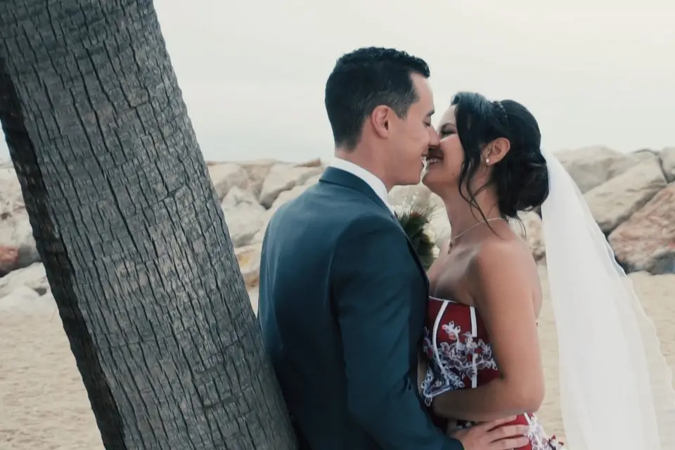 CZprovideo — photo 4