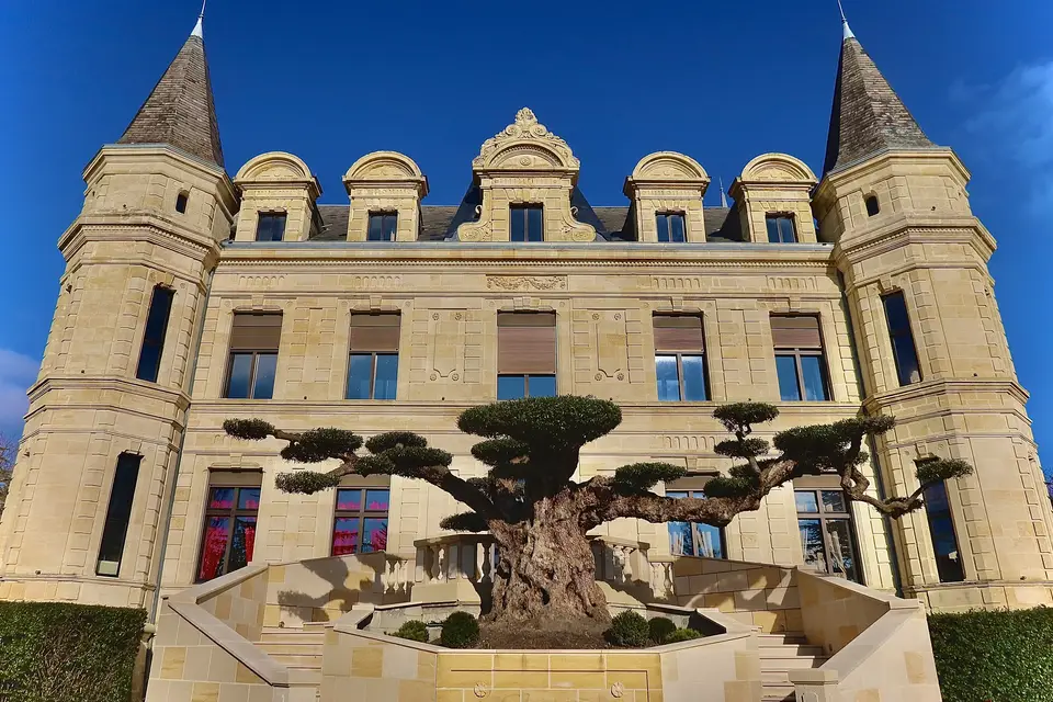 Château Camiac — photo 5