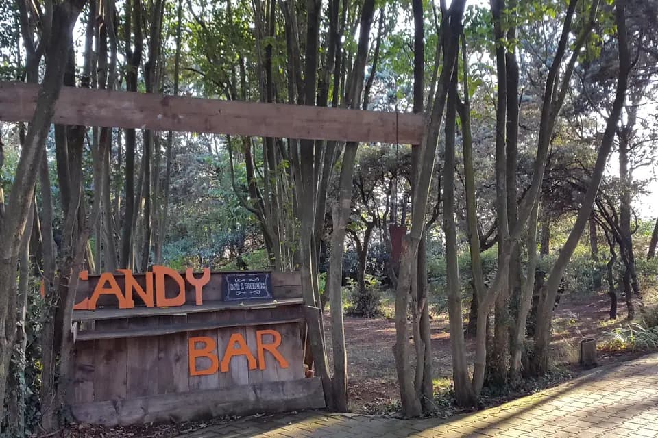 Borne selfie — photo 4