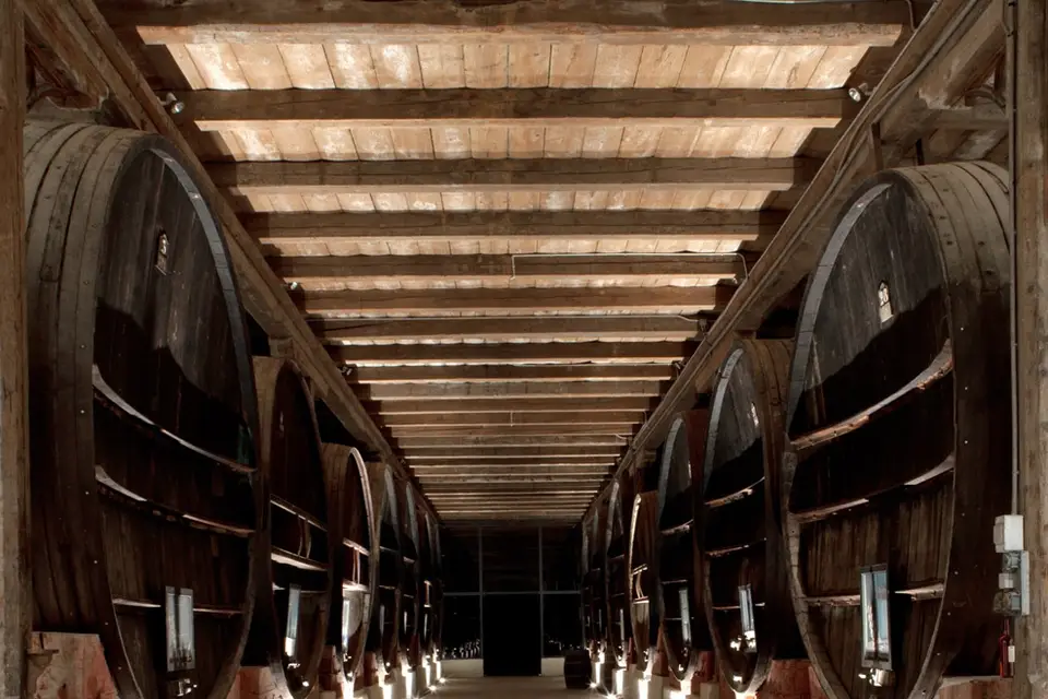 Château Pech-Céleyran — photo 8