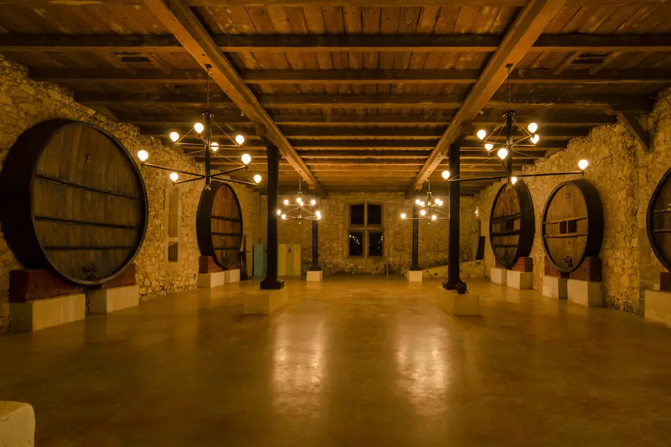 Château Pech-Céleyran — photo 6