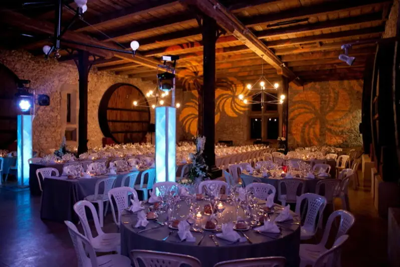 Château Pech-Céleyran — photo 2