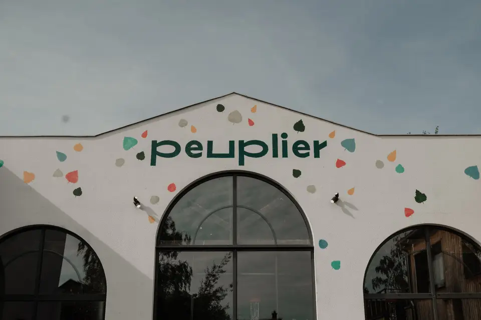 Peuplier — photo 3