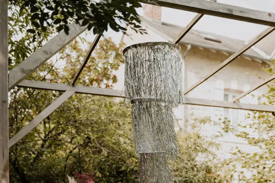 Peuplier — photo 4