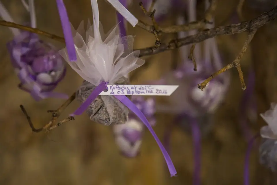 Riviera Productions — photo 5