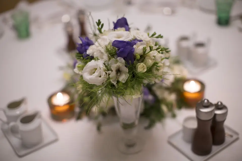 Riviera Productions — photo 3