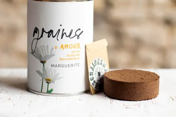 Présent et Sens — photo 1