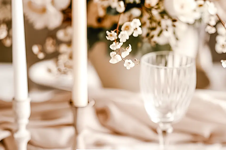 Pitchoun Illustration — photo 3