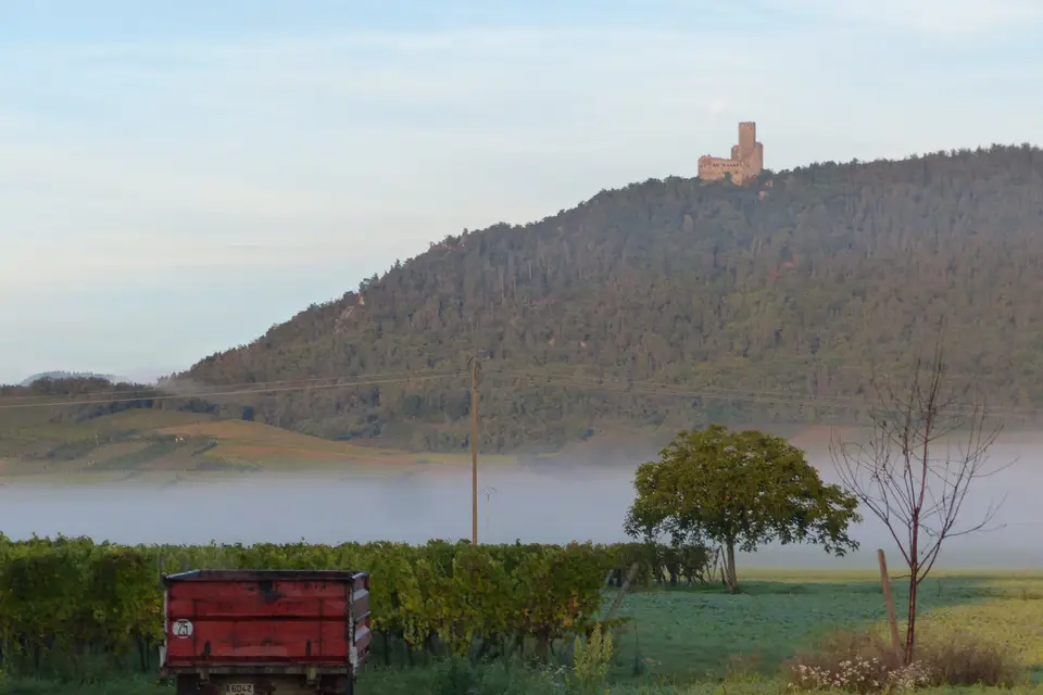 Domaine Achillée — photo 5