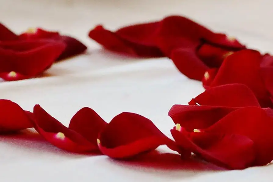 Un Jour Viendra — photo 5