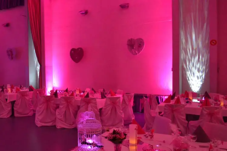 Pro DJ Anim — photo 6