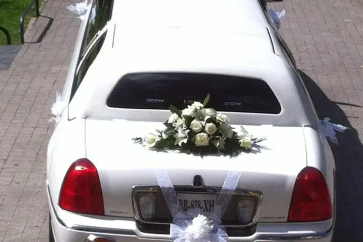 King Limo — photo 3