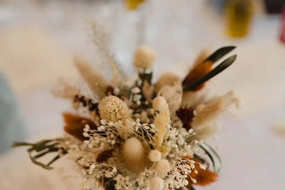 Boutures Parent's — photo 1