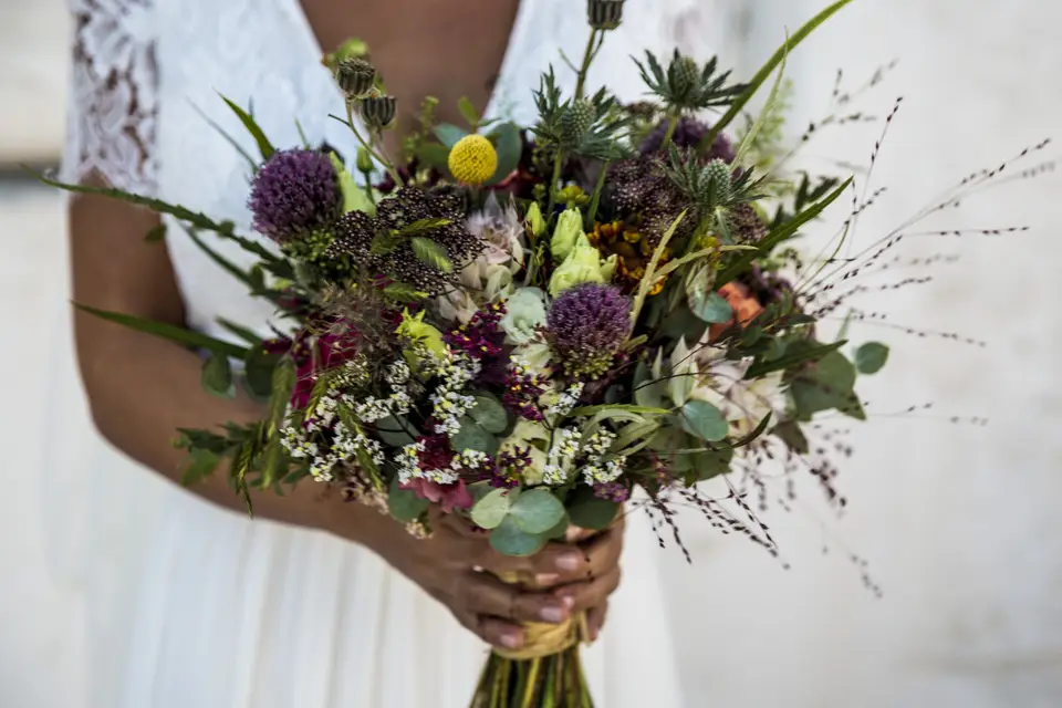 Mi-k-vidéaste — photo 2