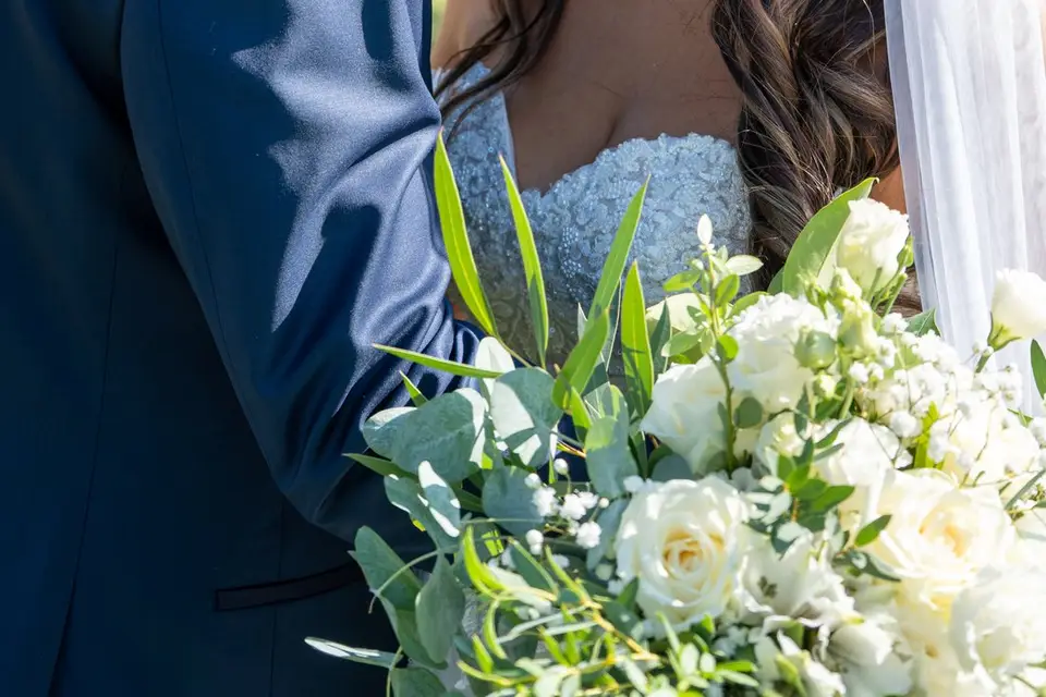 Sirius - Aurélia Payelle — photo 1