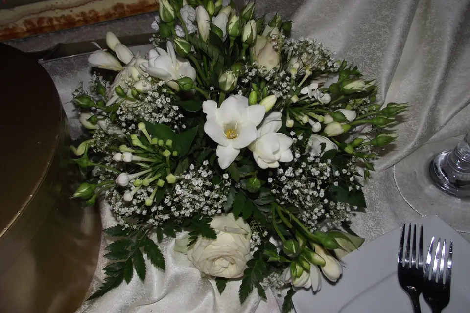 Capevenement — photo 7