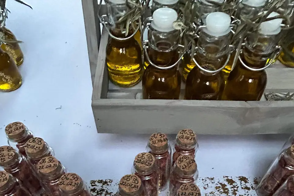 Chouchous Romaine — photo 4