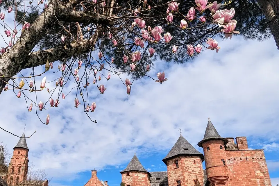 Chateau de Vassinhac — photo 3