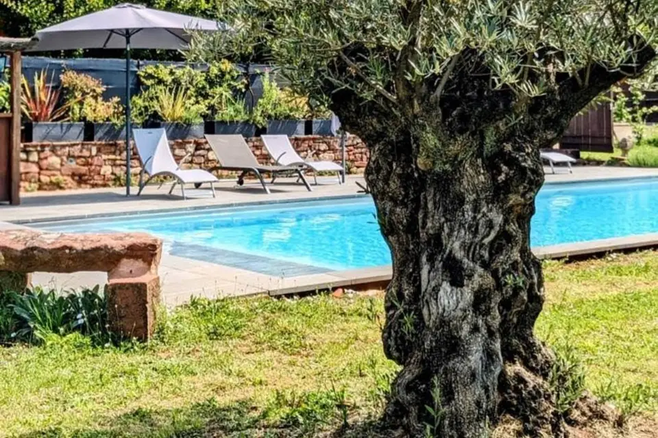 Chateau de Vassinhac — photo 7