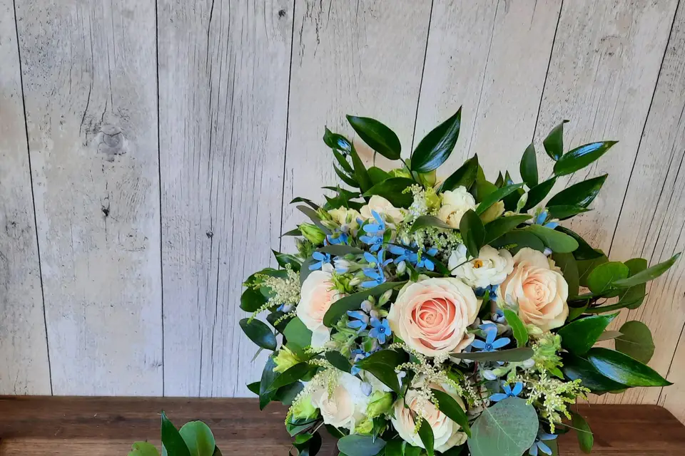 Antoine Thomas — photo 8