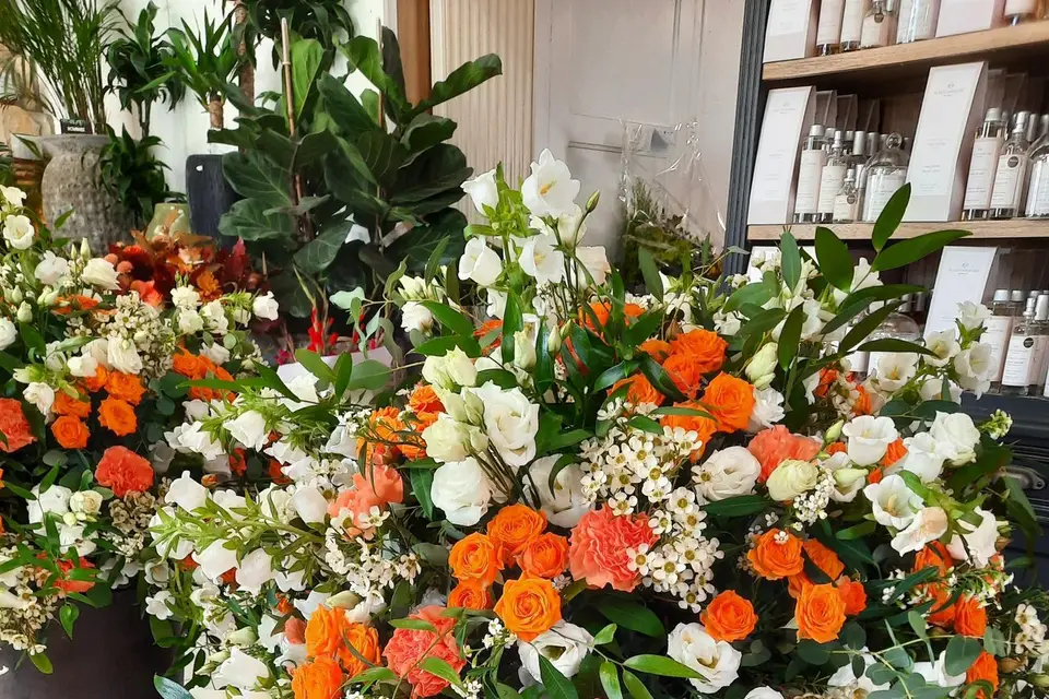 Antoine Thomas — photo 3