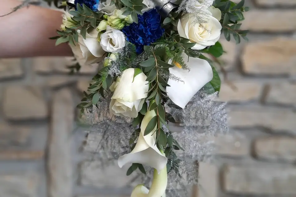 Antoine Thomas — photo 6