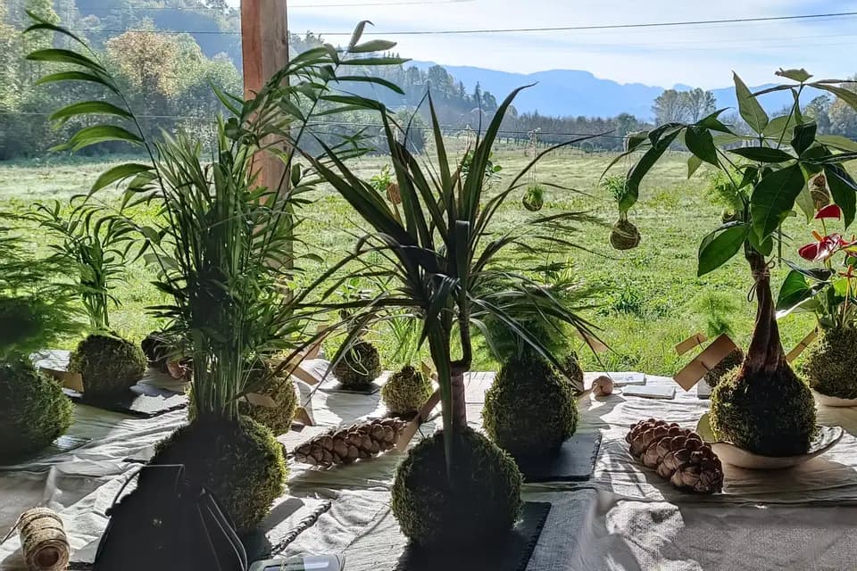 Koke No Mori — photo 6