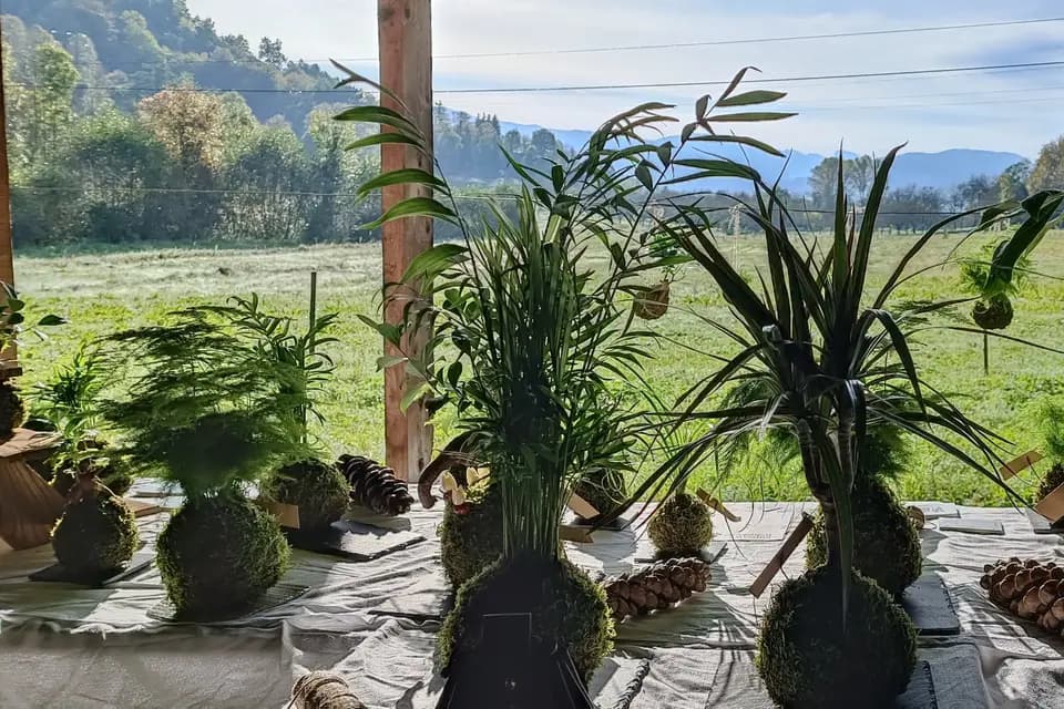 Koke No Mori — photo 5