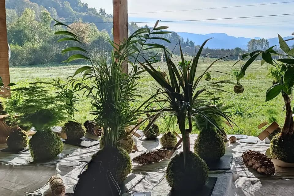 Koke No Mori — photo 7