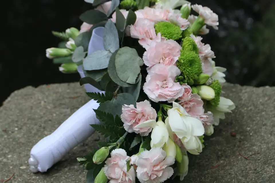 Eucalyptus — photo 6