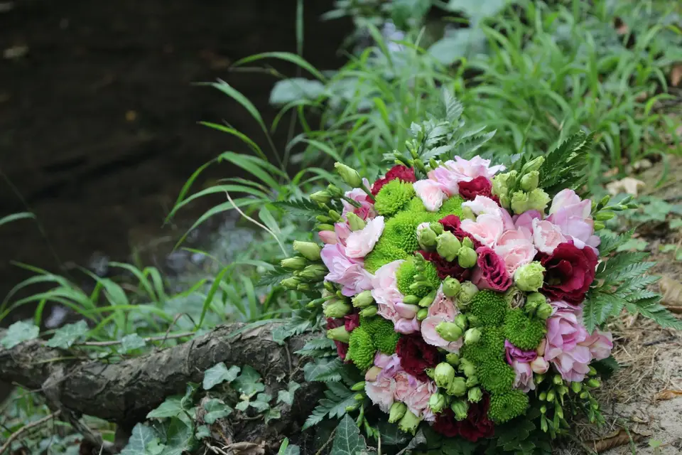 Eucalyptus — photo 3