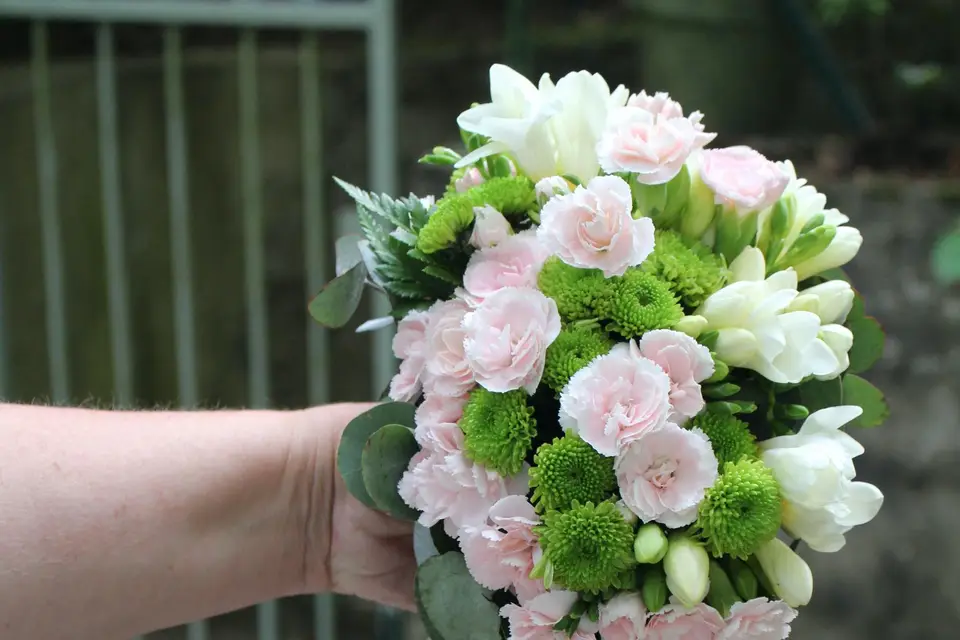 Eucalyptus — photo 7