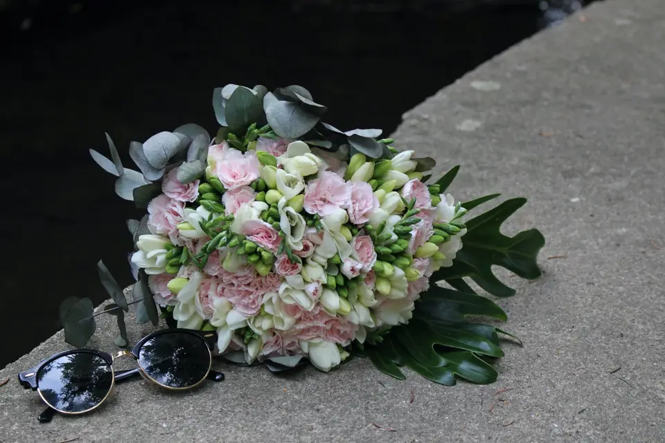 Eucalyptus — photo 4