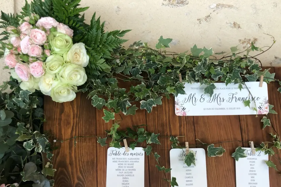 Eucalyptus — photo 2