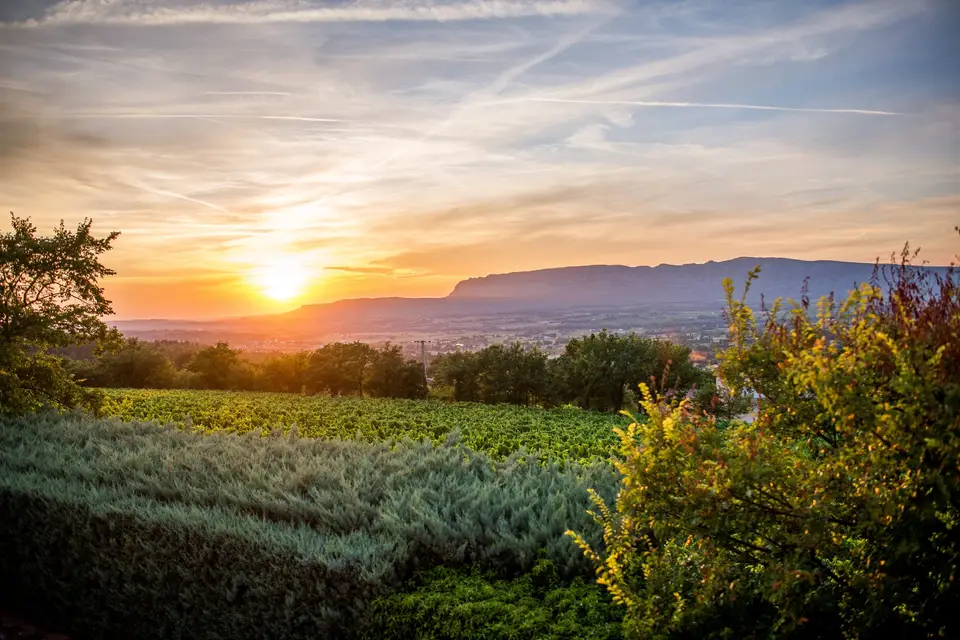 Grand Boise Promotion — photo 6