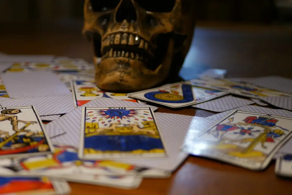 Le Kraken — photo 2