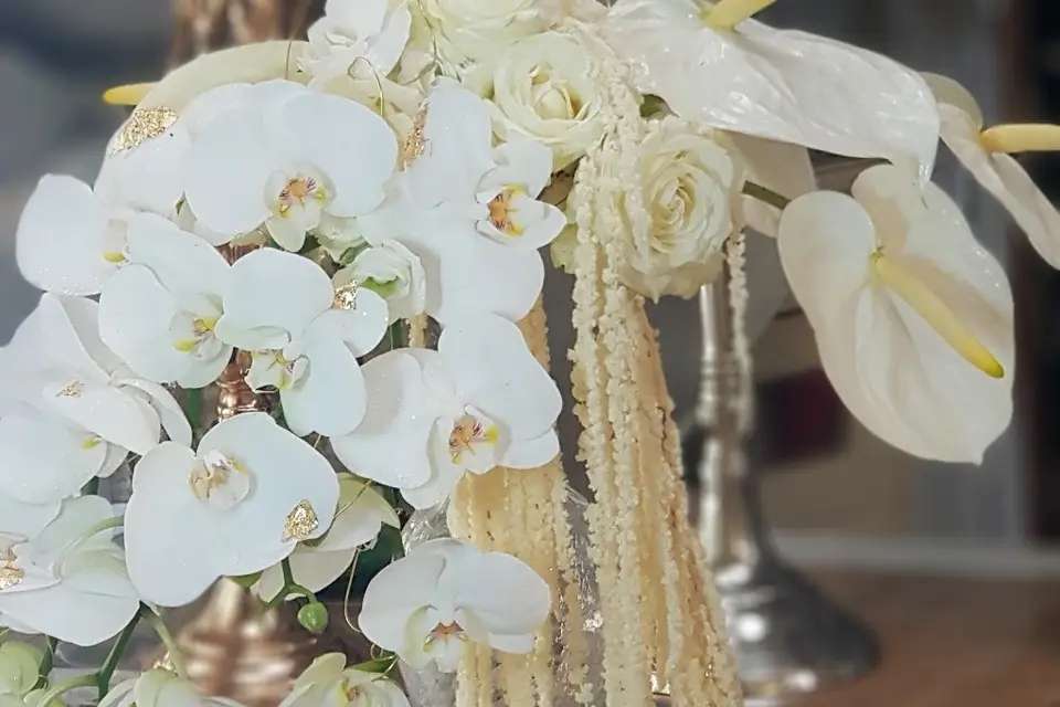 M.A Fée des fleurs — photo 2