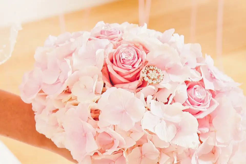 Nota Bene Pictures — photo 1