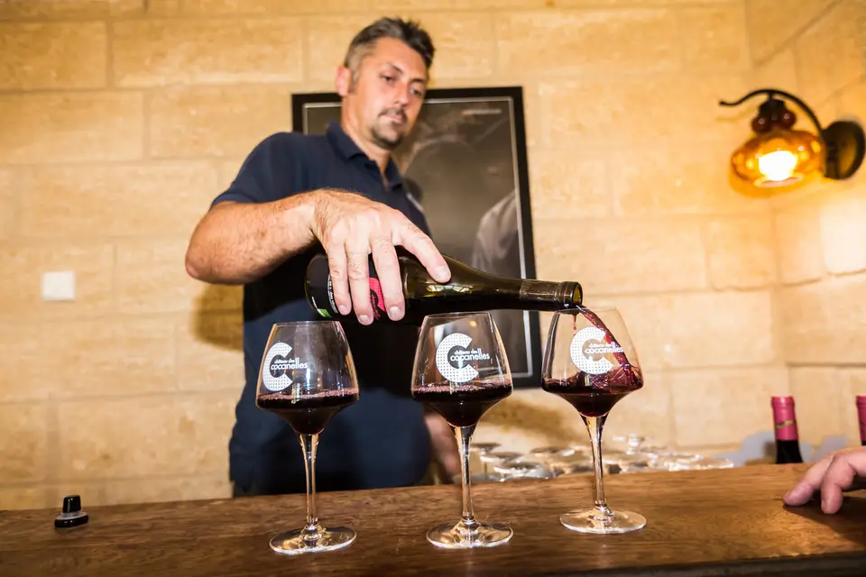 Château des Coccinelles — photo 1